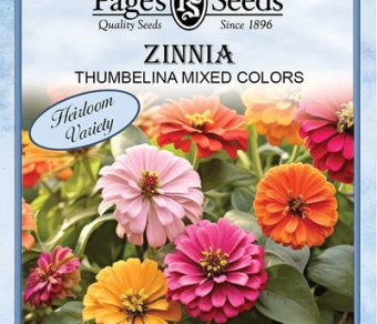 Zinnia Thumbelina Mixed Colors