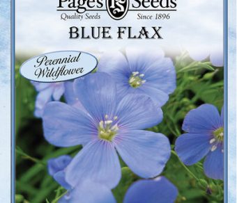 Blue Flax