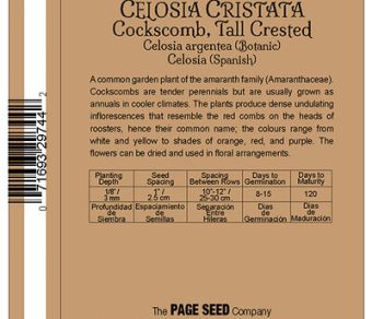 Cockscomb Celosia Cristata