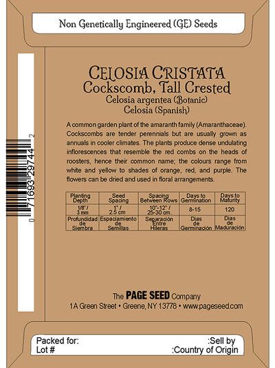 Cockscomb Celosia Cristata