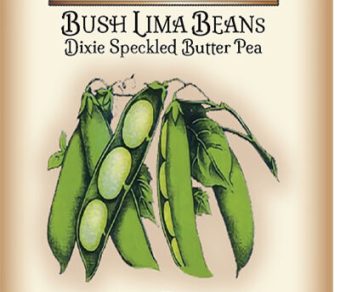 Bush Lima Bean Dixie Speckled Butter Pea