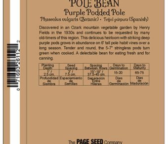 Pole Bean Purple Podded Pole