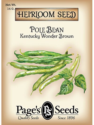 Pole Bean Kentucky Wonder Brown