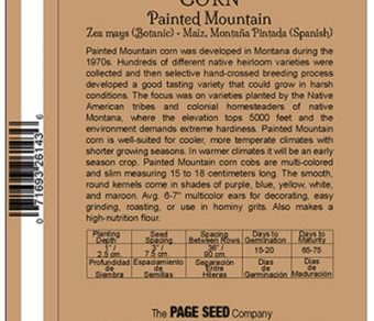 Corn Painted Mountain