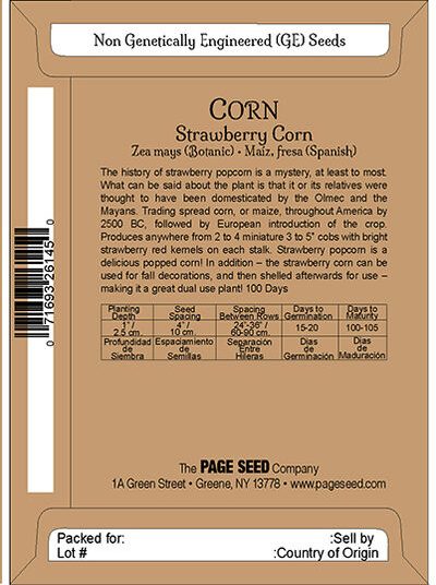 Corn Strawberry