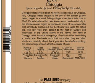 Beet Chioggia