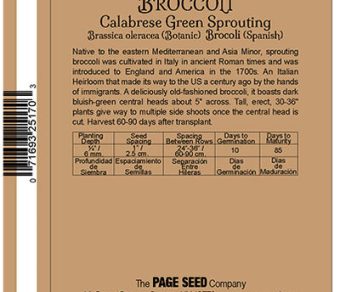 Broccoli Calabrese Green Sprouting
