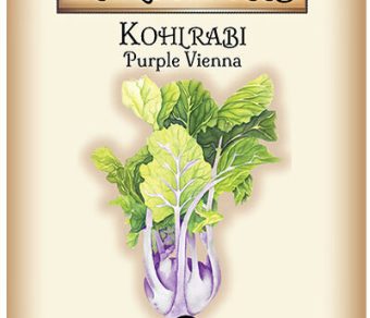 Kohl Rabi Purple Vienna