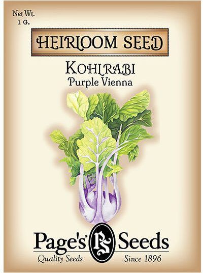 Kohl Rabi Purple Vienna
