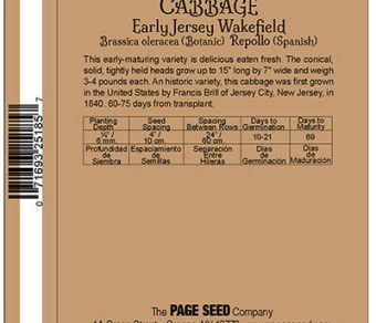 Cabbage Early Jersey Wakefield