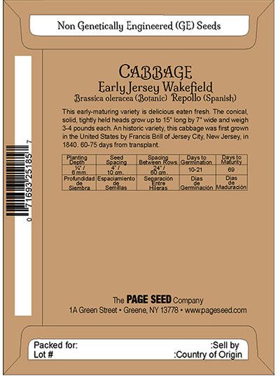 Cabbage Early Jersey Wakefield