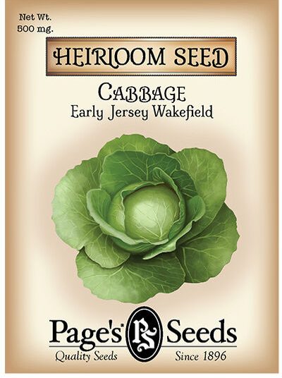 Cabbage Early Jersey Wakefield