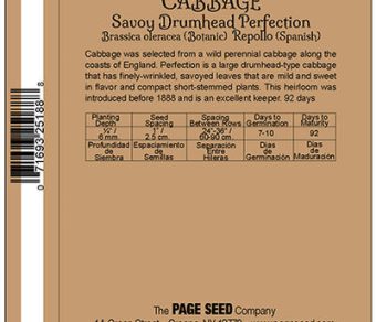 Cabbage Savory Drumhead Perfection