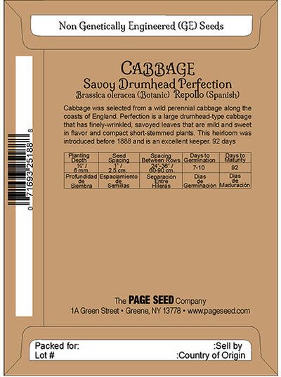 Cabbage Savory Drumhead Perfection