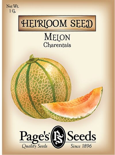 Melon Charentais