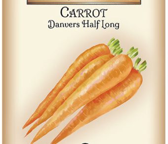 Carrot Danvers Half Long