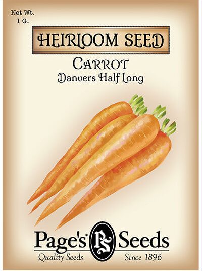 Carrot Danvers Half Long