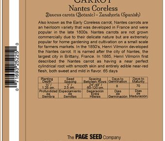 Carrot nantes Coreless