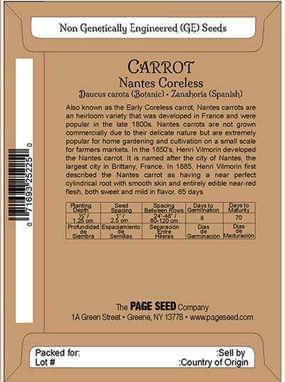 Carrot nantes Coreless