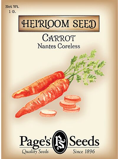 Carrot nantes Coreless