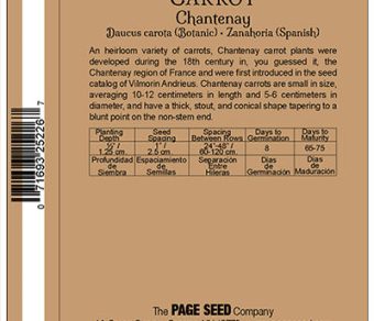 Carrot Chantenay