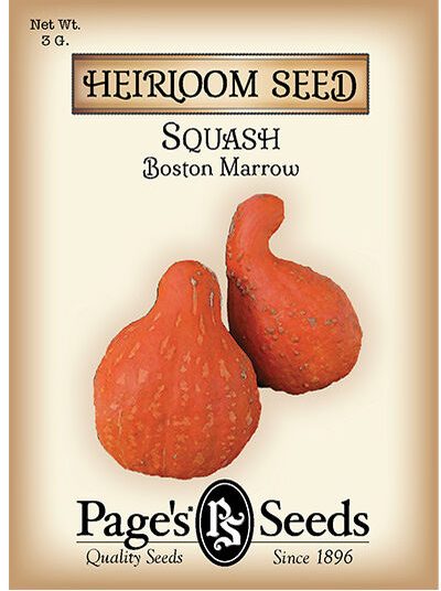 Squash Boston Marrow