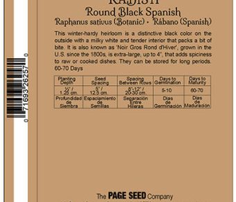 Radish Round Black Spanish