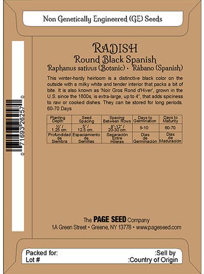 Radish Round Black Spanish