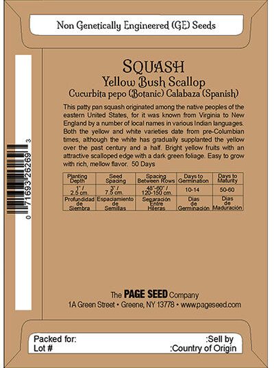 Squash Yellow Bush Scallop