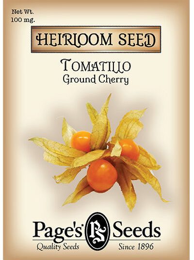 Tomatillo Ground Cherry