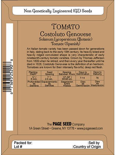 Tomato Constoluto Genovese