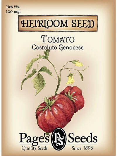 Tomato Constoluto Genovese