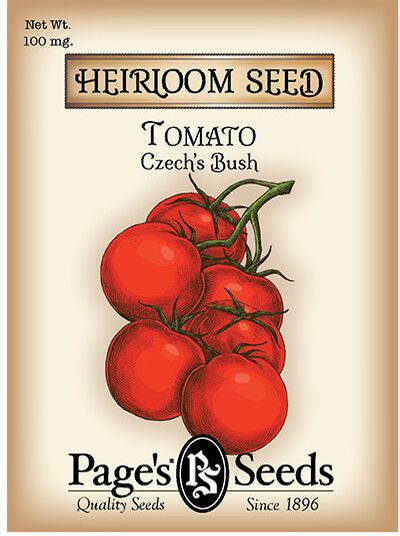 Tomato Czech's Bush
