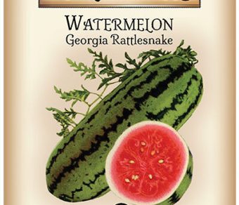 Watermelon Georgia Rattlesnake