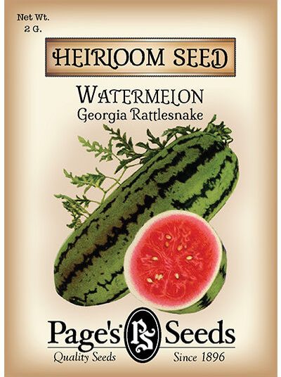 Watermelon Georgia Rattlesnake