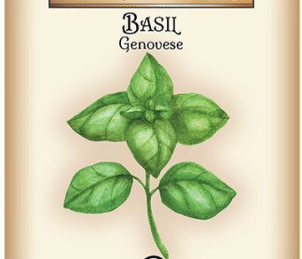 Basil Genovese