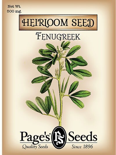 Fenugreek