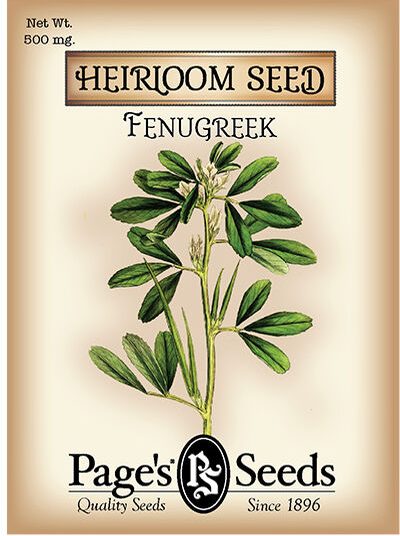 Fenugreek