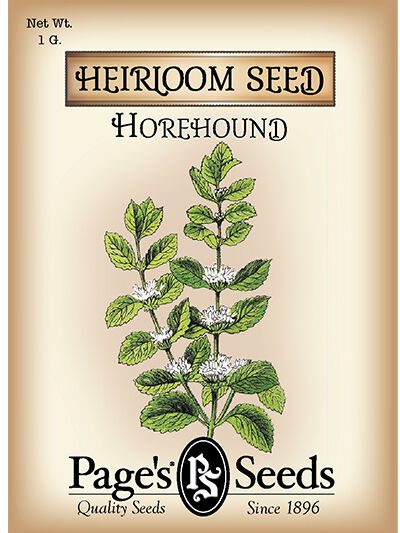 Horehound