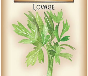 Lovage