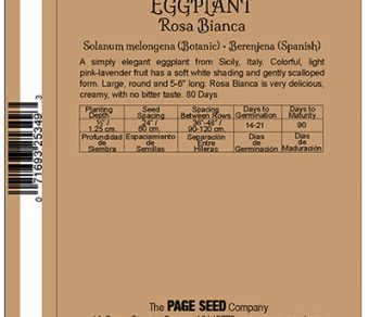 Eggplant Rosa Bianca