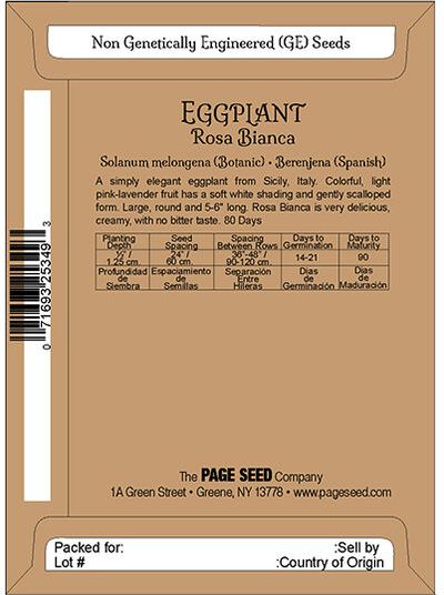 Eggplant Rosa Bianca