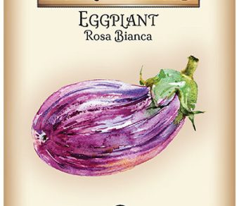 Eggplant Rosa Bianca