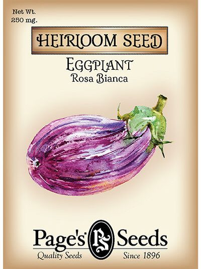 Eggplant Rosa Bianca