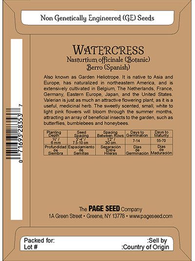 Watercress