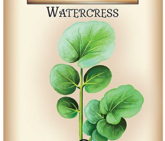 Watercress