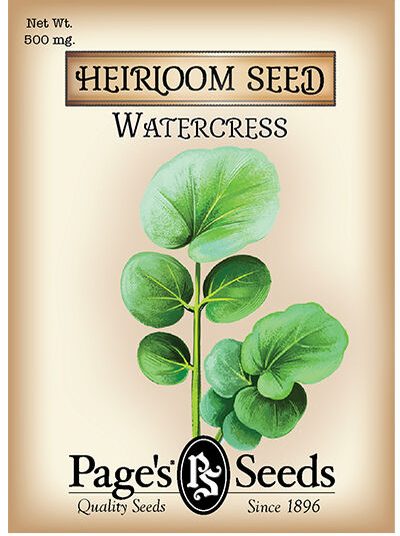 Watercress