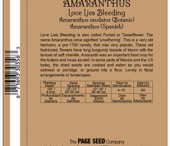 Amaranthus Love Lies Bleeding
