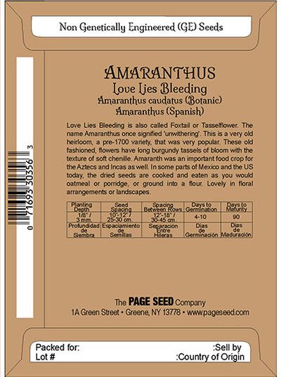 Amaranthus Love Lies Bleeding