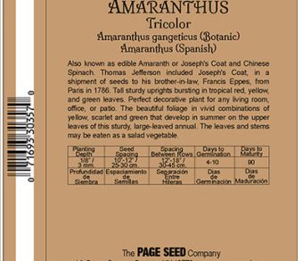 Amaranthus Tricolor